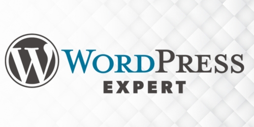 Shiv Shakti Digiworl Portfolio 28 WordPress Expert Certificate